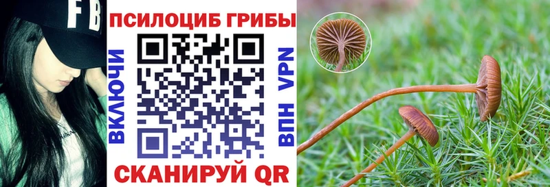 Псилоцибиновые грибы мухоморы  Березники 